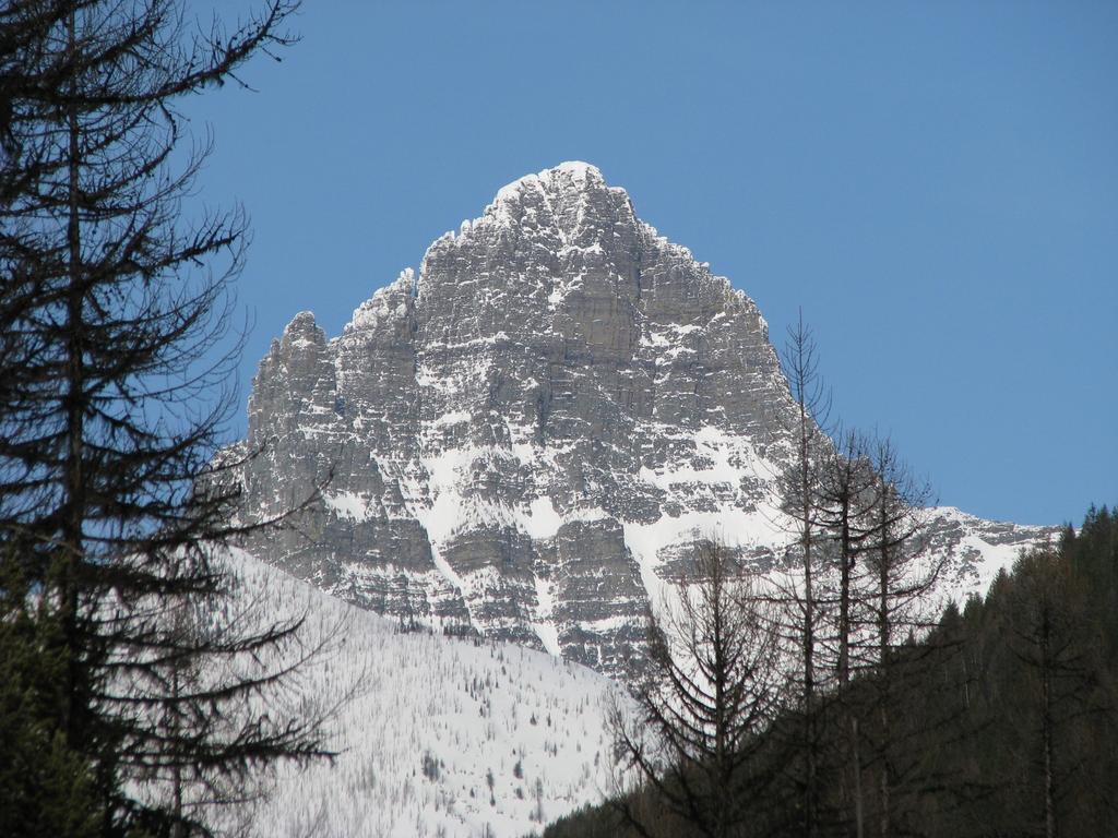 Glacier Haven Inn Pinnacle Luaran gambar