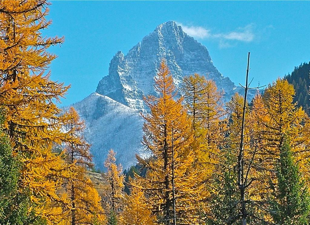 Glacier Haven Inn Pinnacle Luaran gambar